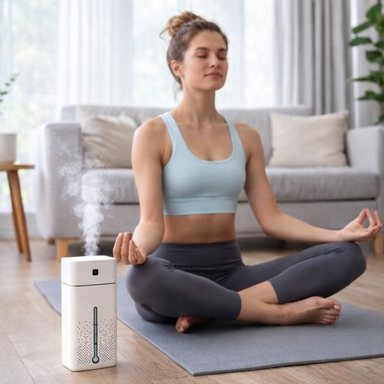 004 : NAWILŻACZ POWIETRZA/ AIR HUMIDIFIER