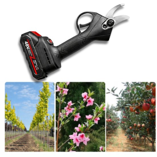 549 : Cordless Electric Pruner with 2 batteries 48Vh