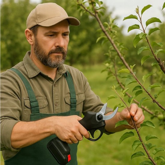 549 : Cordless Electric Pruner with 2 batteries 48Vh