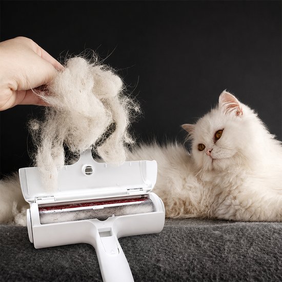 7093 : Reusable Pet Hair Remover Brush
